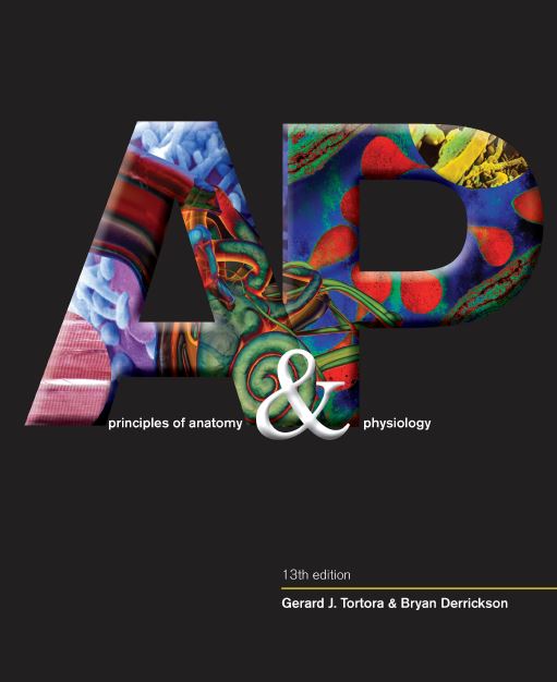 Macroeconomics Principles And Policy 13th Edition Pdf Download